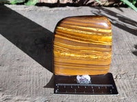 Polished Tigers Eye Standing Free Forms x 2 From South Africa