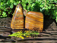 Polished Tigers Eye Standing Free Forms x 2 From South Africa