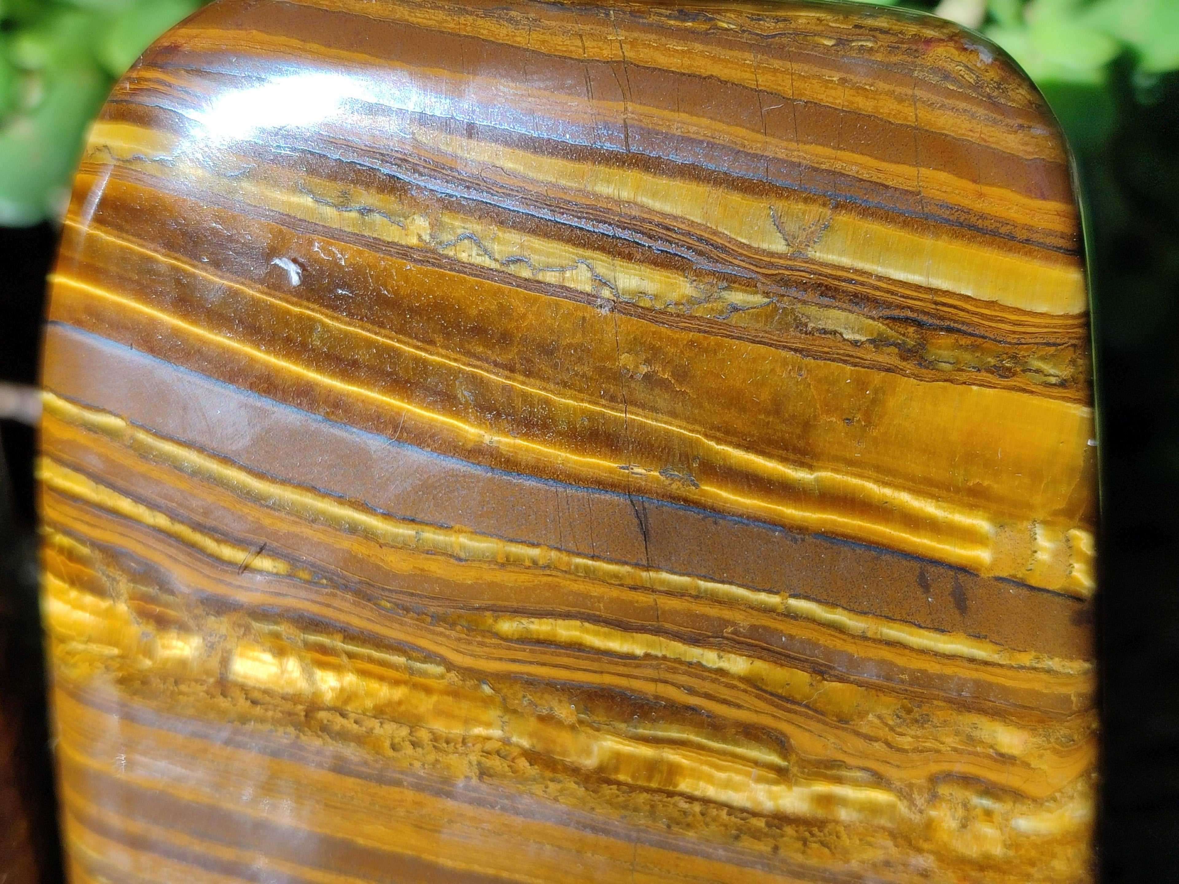 Polished Tigers Eye Standing Free Forms x 2 From South Africa - Toprock Gemstones and Minerals 