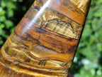 Polished Tigers Eye Standing Free Forms x 2 From South Africa - Toprock Gemstones and Minerals 