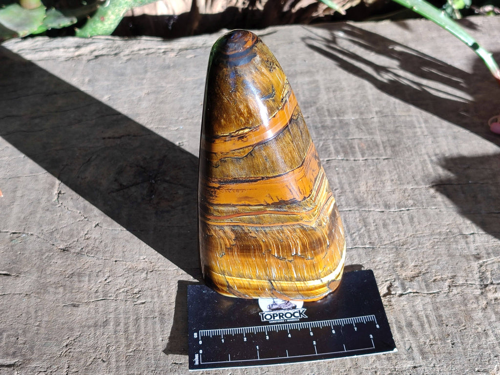 Polished Tigers Eye Standing Free Forms x 2 From South Africa - Toprock Gemstones and Minerals 