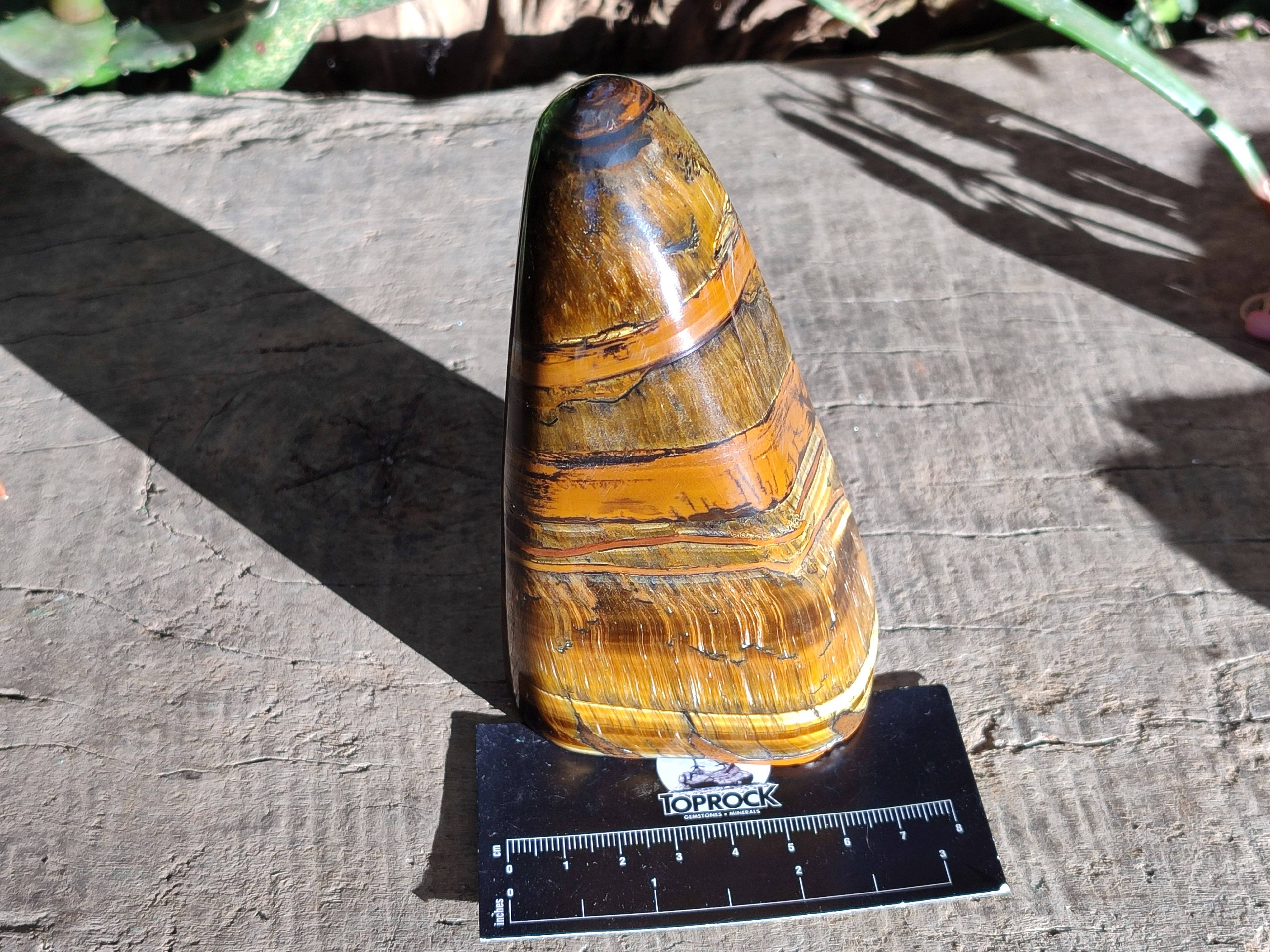 Polished Tigers Eye Standing Free Forms x 2 From South Africa - Toprock Gemstones and Minerals 