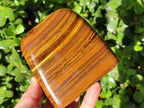 Polished Tigers Eye Standing Free Forms x 2 From South Africa - Toprock Gemstones and Minerals 