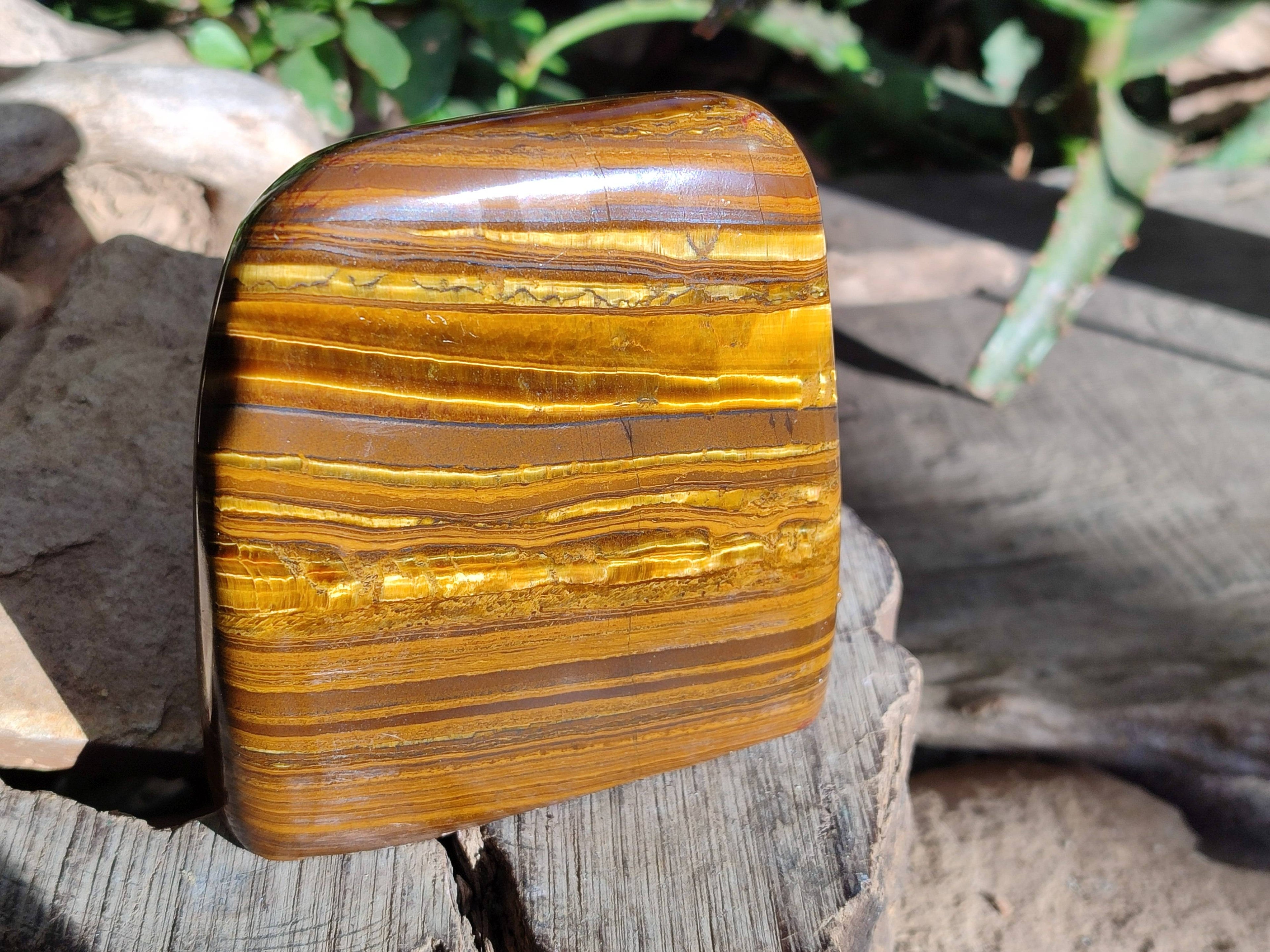 Polished Tigers Eye Standing Free Forms x 2 From South Africa - Toprock Gemstones and Minerals 