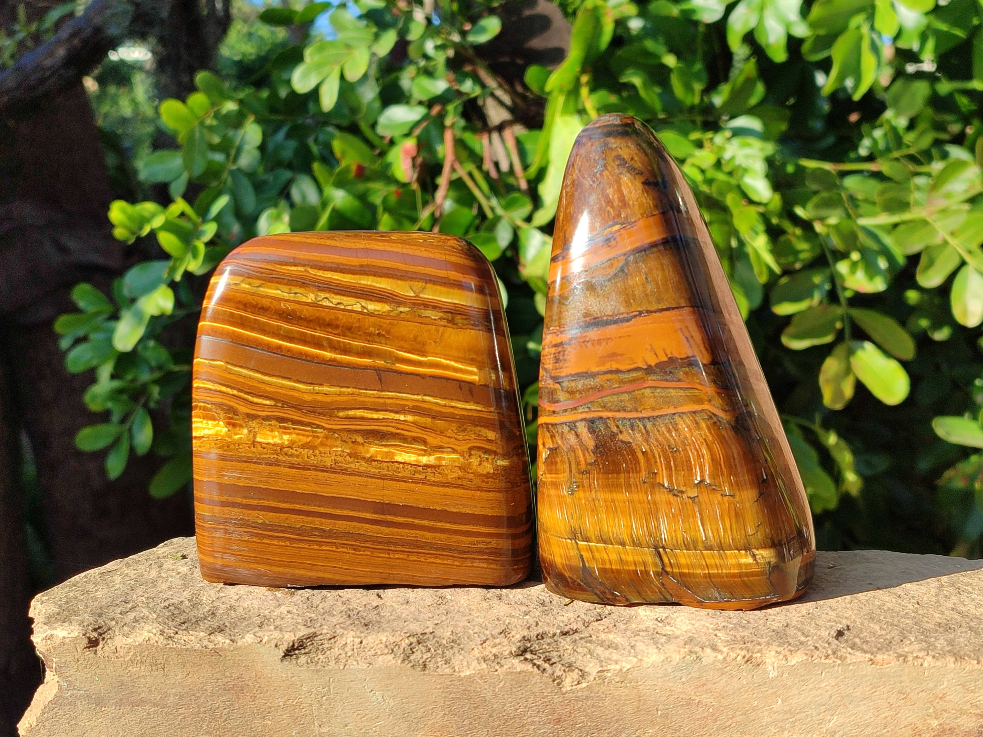 Polished Tigers Eye Standing Free Forms x 2 From South Africa - Toprock Gemstones and Minerals 