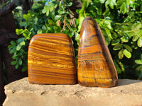 Polished Tigers Eye Standing Free Forms x 2 From South Africa