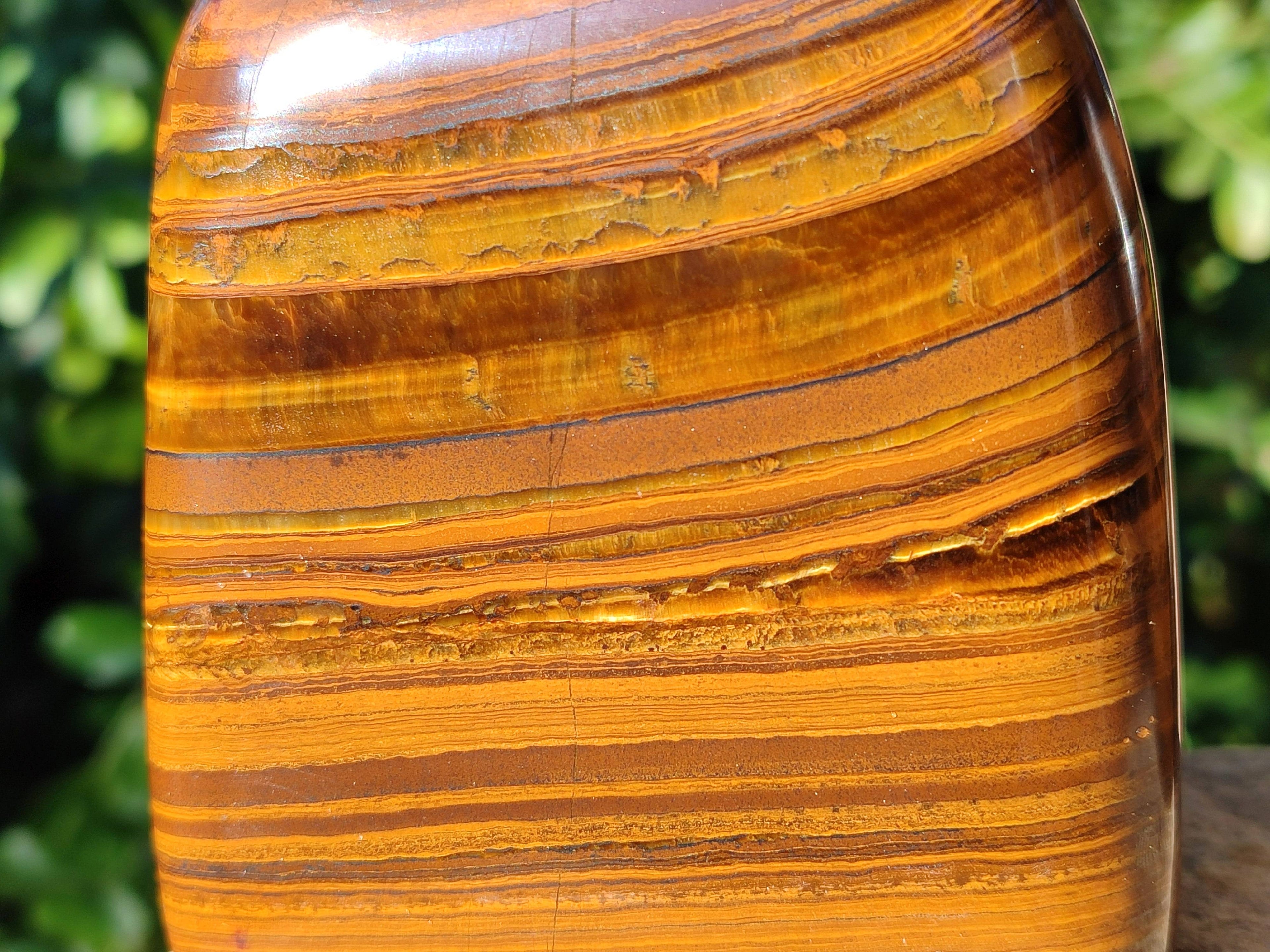 Polished Tigers Eye Standing Free Forms x 2 From South Africa - Toprock Gemstones and Minerals 