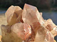 Natural Red Hematoid Quartz Clusters x 3 From Karoi, Zimbabwe