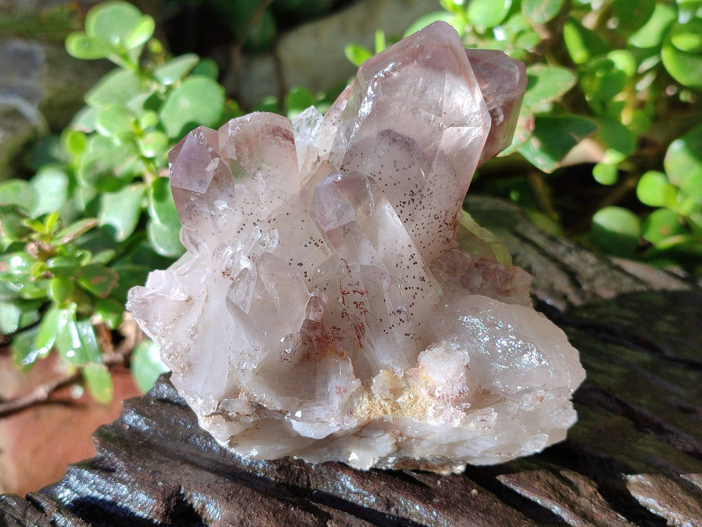 Natural Red Hematoid Quartz Clusters x 3 From Karoi, Zimbabwe - Toprock Gemstones and Minerals 