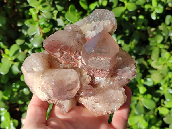 Natural Red Hematoid Quartz Clusters x 3 From Karoi, Zimbabwe
