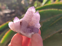 Natural Amethyst Spirit Quartz Clusters x 20 From Boekenhouthoek, South Africa