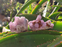 Natural Amethyst Spirit Quartz Clusters x 20 From Boekenhouthoek, South Africa