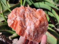 Natural Sunset Orange Calcite Specimens x 4 From Spitzkop, Namibia