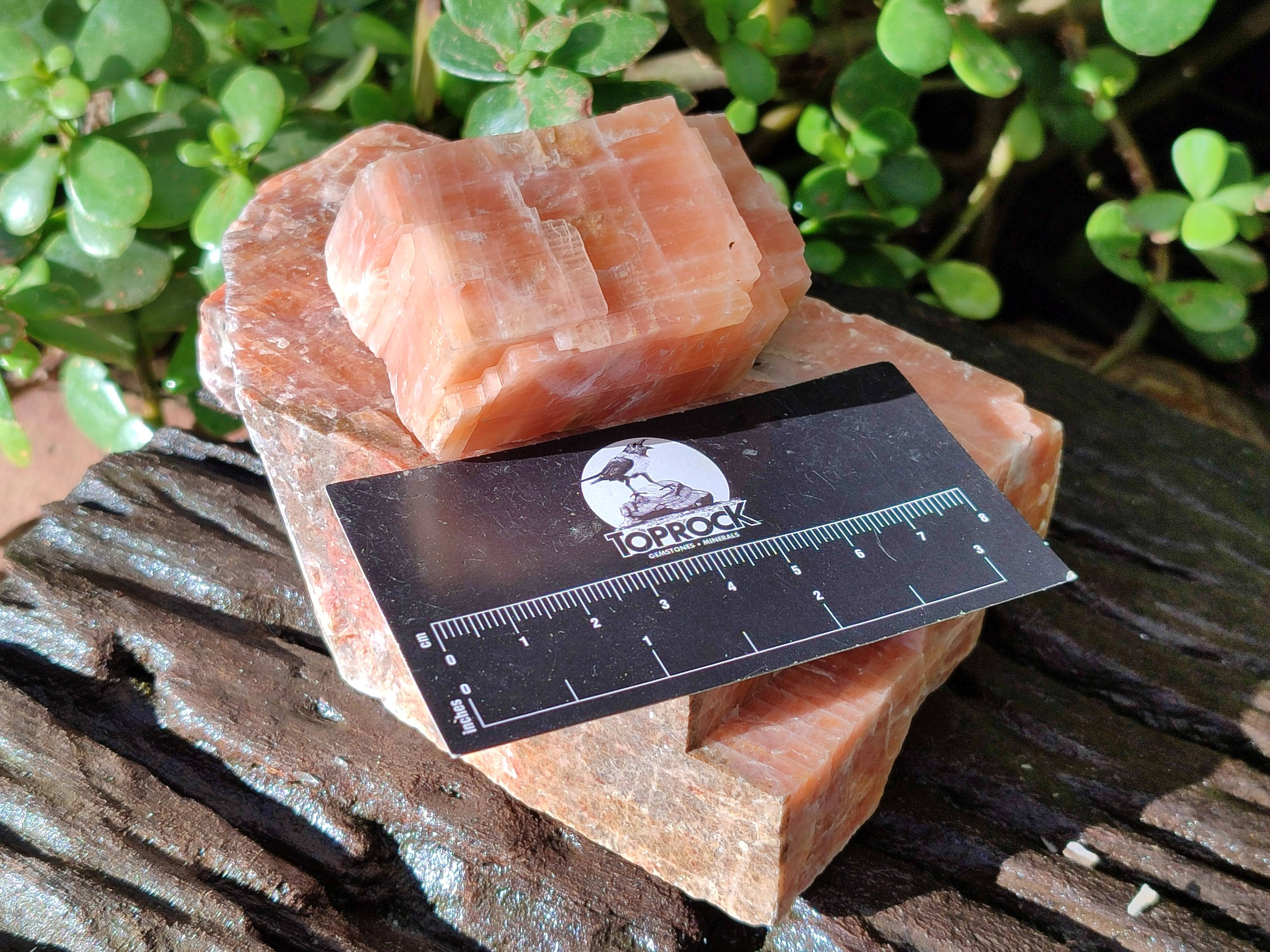 Natural Sunset Orange Calcite Specimens x 4 From Spitzkop, Namibia - Toprock Gemstones and Minerals 