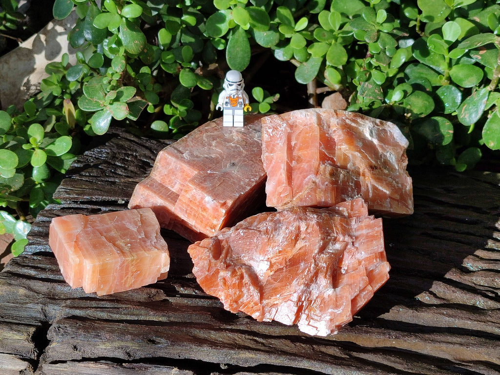 Natural Sunset Orange Calcite Specimens x 4 From Spitzkop, Namibia - Toprock Gemstones and Minerals 