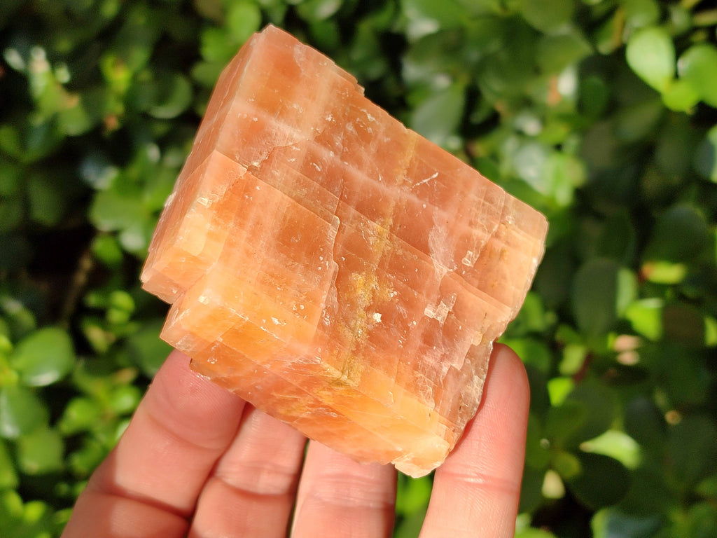 Natural Sunset Orange Calcite Specimens x 4 From Spitzkop, Namibia - Toprock Gemstones and Minerals 