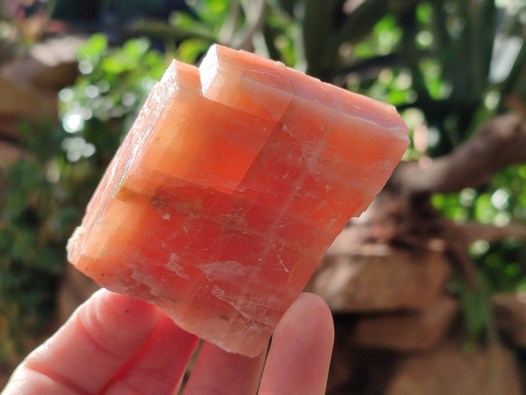 Natural Sunset Orange Calcite Specimens x 4 From Spitzkop, Namibia - Toprock Gemstones and Minerals 