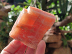 Natural Sunset Orange Calcite Specimens x 4 From Spitzkop, Namibia - Toprock Gemstones and Minerals 