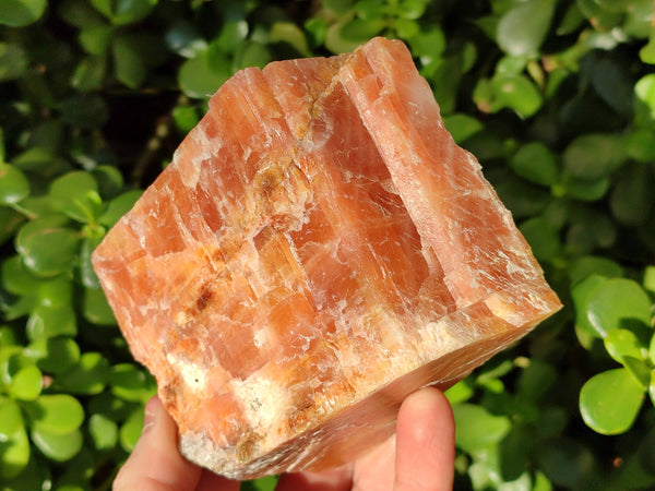 Natural Sunset Orange Calcite Specimens x 4 From Spitzkop, Namibia