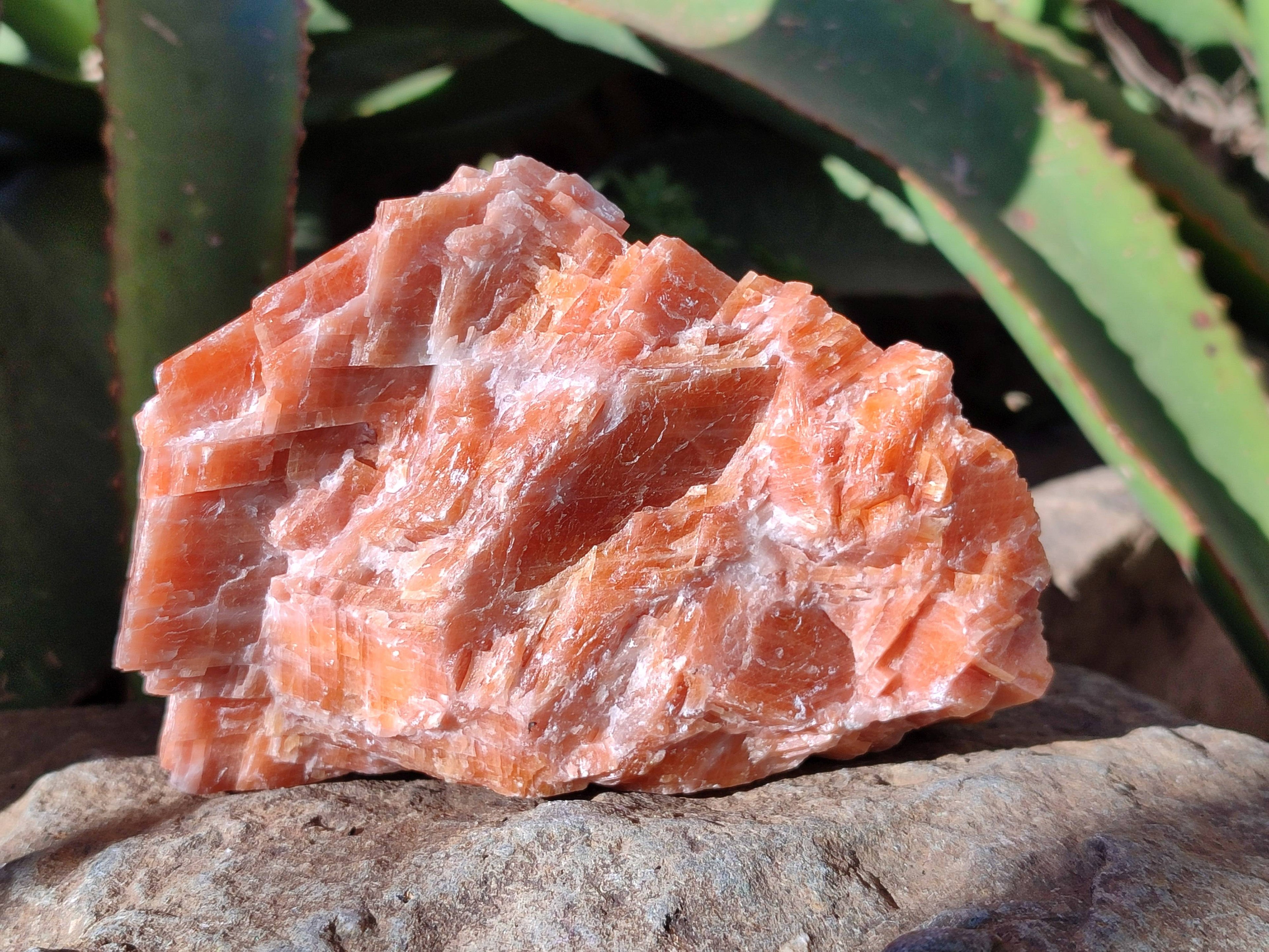 Natural Sunset Orange Calcite Specimens x 4 From Spitzkop, Namibia - Toprock Gemstones and Minerals 