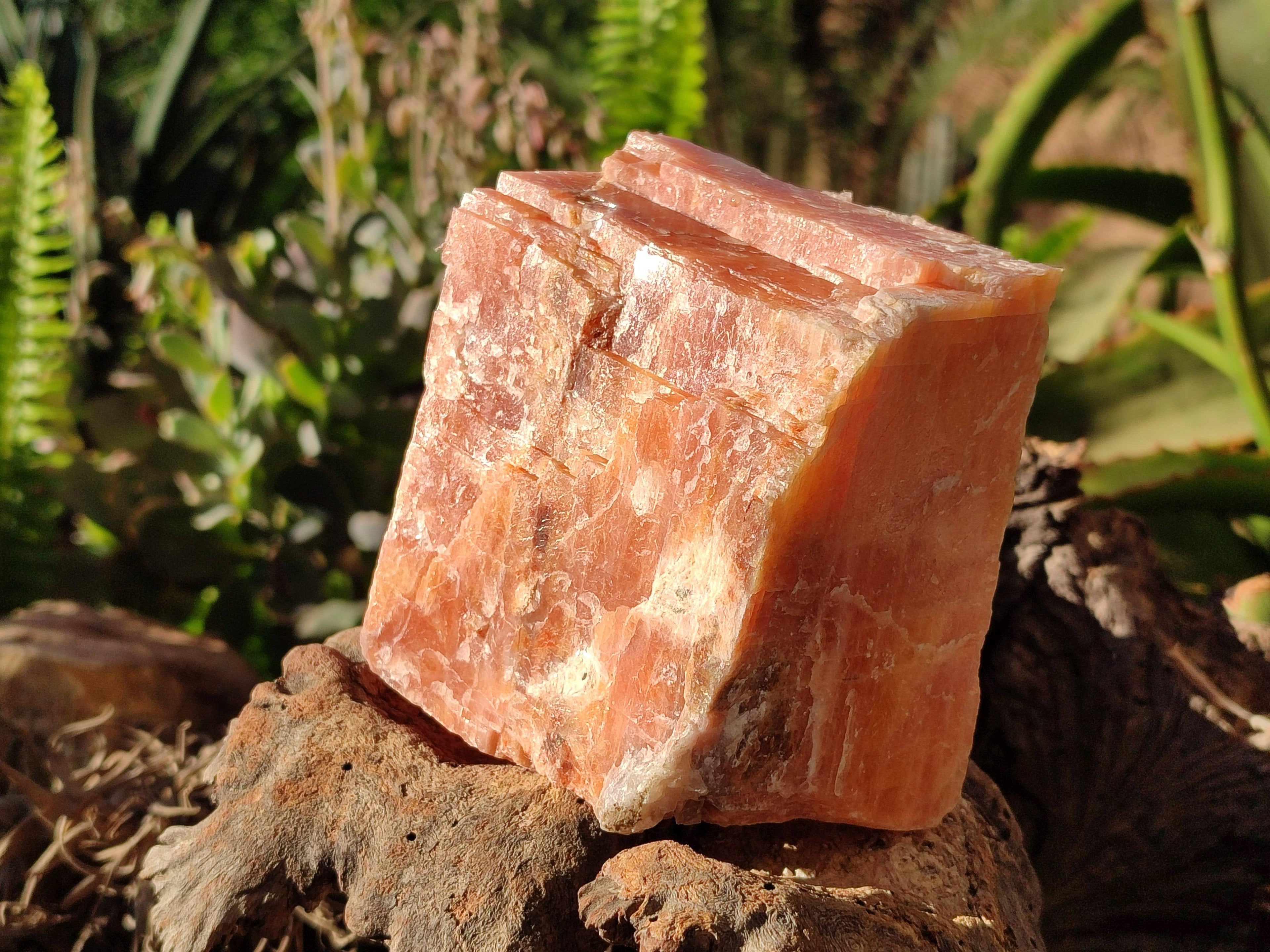 Natural Sunset Orange Calcite Specimens x 4 From Spitzkop, Namibia - Toprock Gemstones and Minerals 