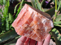 Natural Sunset Orange Calcite Specimens x 4 From Spitzkop, Namibia