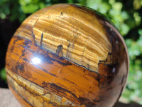 Polished Tigers Eye Sphere x 1 From Prieska, South Africa