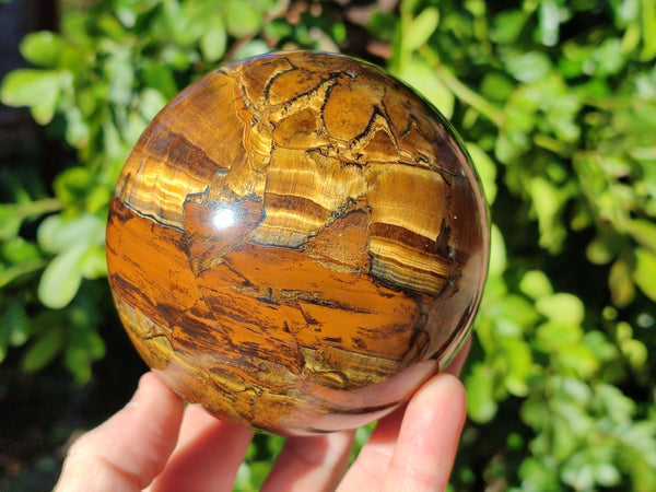Polished Tigers Eye Sphere x 1 From Prieska, South Africa