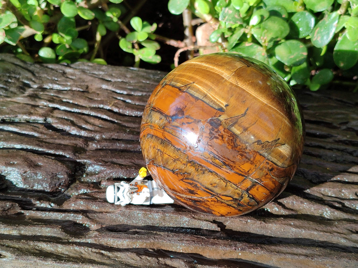 Polished Tigers Eye Sphere x 1 From Prieska, South Africa - Toprock Gemstones and Minerals 