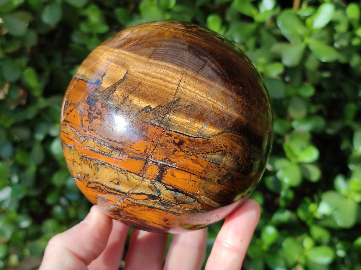 Polished Tigers Eye Sphere x 1 From Prieska, South Africa - Toprock Gemstones and Minerals 