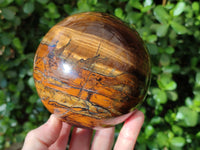 Polished Tigers Eye Sphere x 1 From Prieska, South Africa