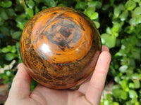 Polished Tigers Eye Sphere x 1 From Prieska, South Africa