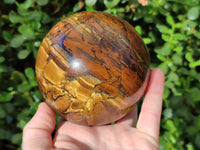 Polished Tigers Eye Sphere x 1 From Prieska, South Africa