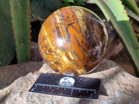 Polished Tigers Eye Sphere x 1 From Prieska, South Africa