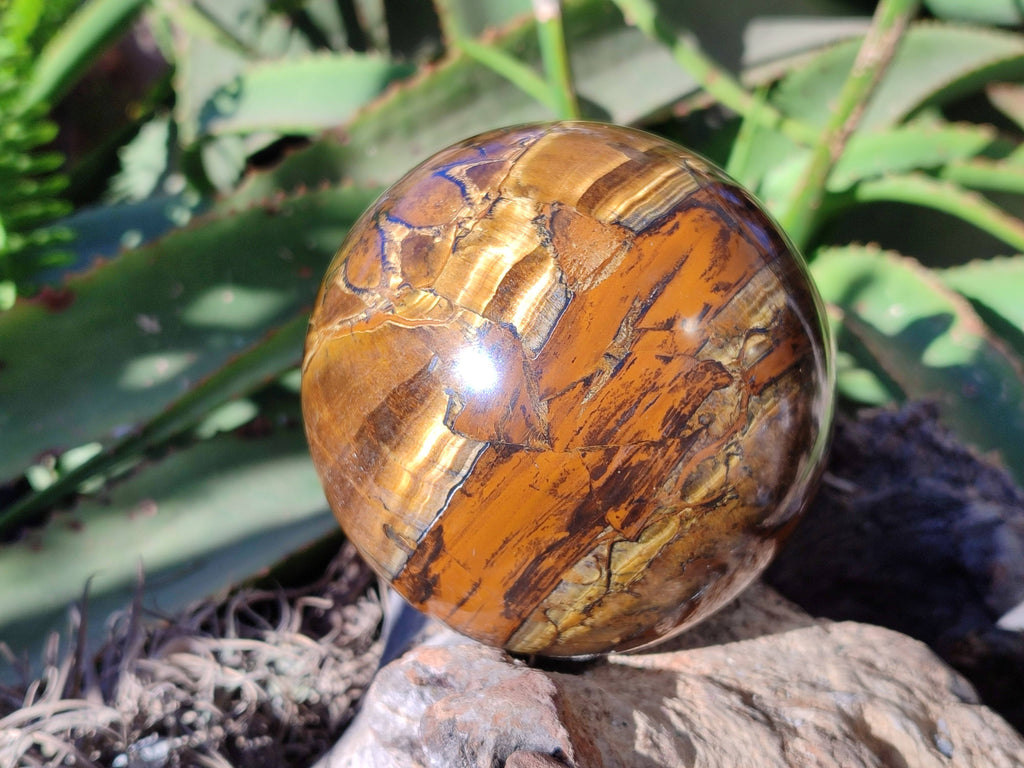 Polished Tigers Eye Sphere x 1 From Prieska, South Africa - Toprock Gemstones and Minerals 