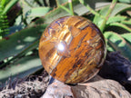Polished Tigers Eye Sphere x 1 From Prieska, South Africa - Toprock Gemstones and Minerals 