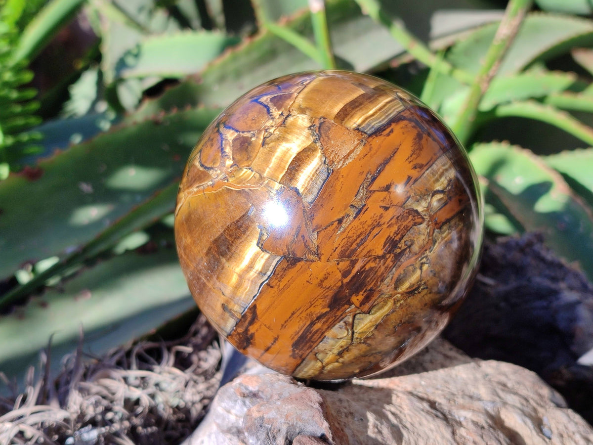 Polished Tigers Eye Sphere x 1 From Prieska, South Africa - Toprock Gemstones and Minerals 