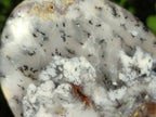 Polished Dendritic Opal Standing Free Forms x 2 From Madagascar - Toprock Gemstones and Minerals 