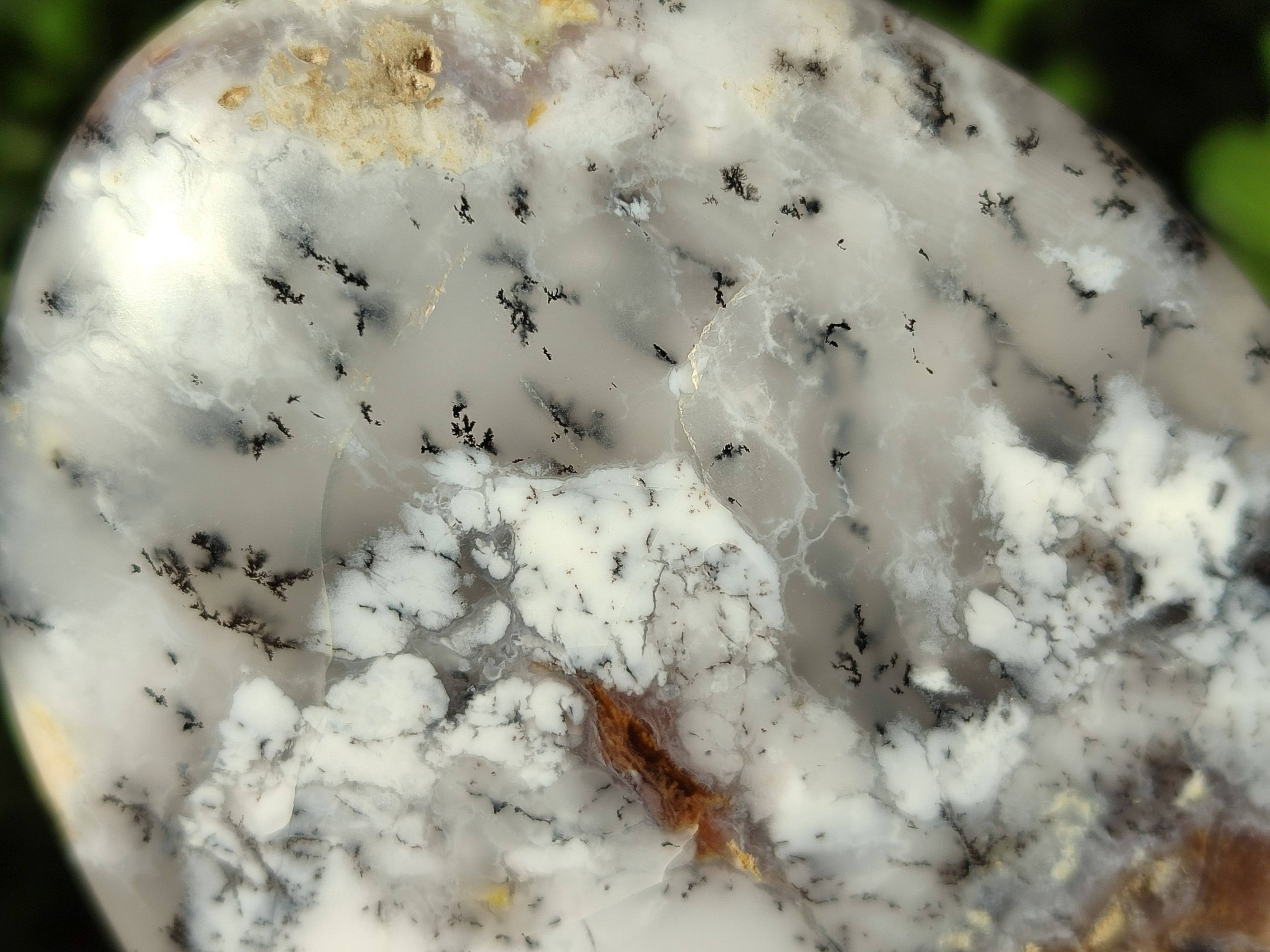 Polished Dendritic Opal Standing Free Forms x 2 From Madagascar - Toprock Gemstones and Minerals 