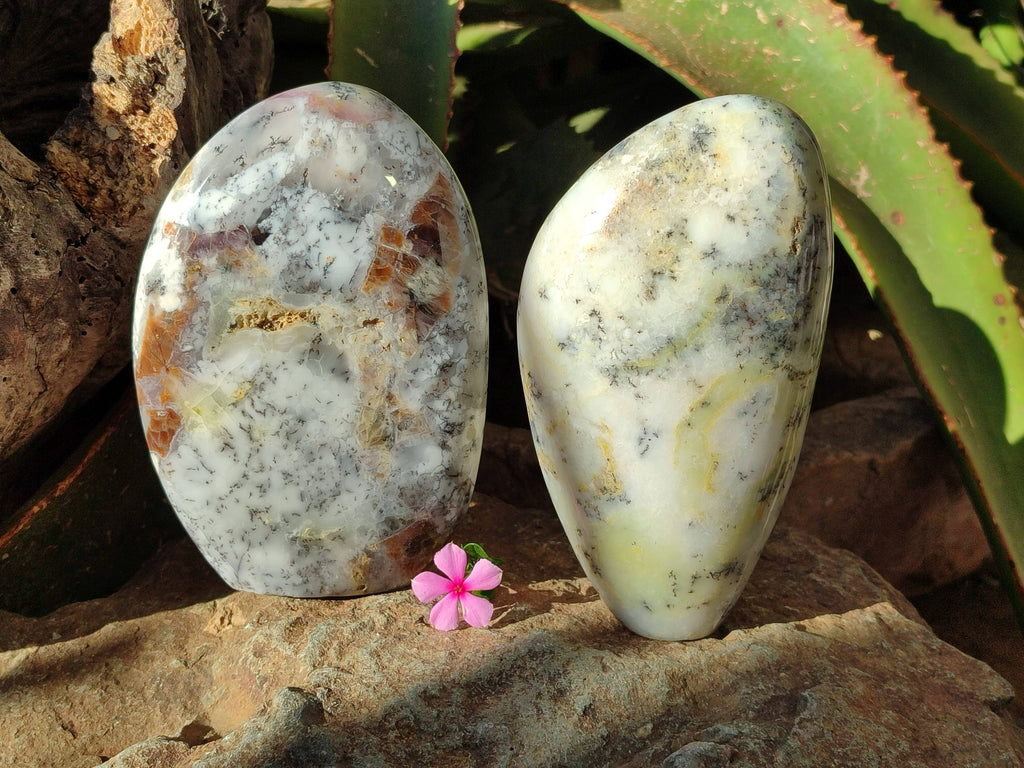 Polished Dendritic Opal Standing Free Forms x 2 From Madagascar - Toprock Gemstones and Minerals 