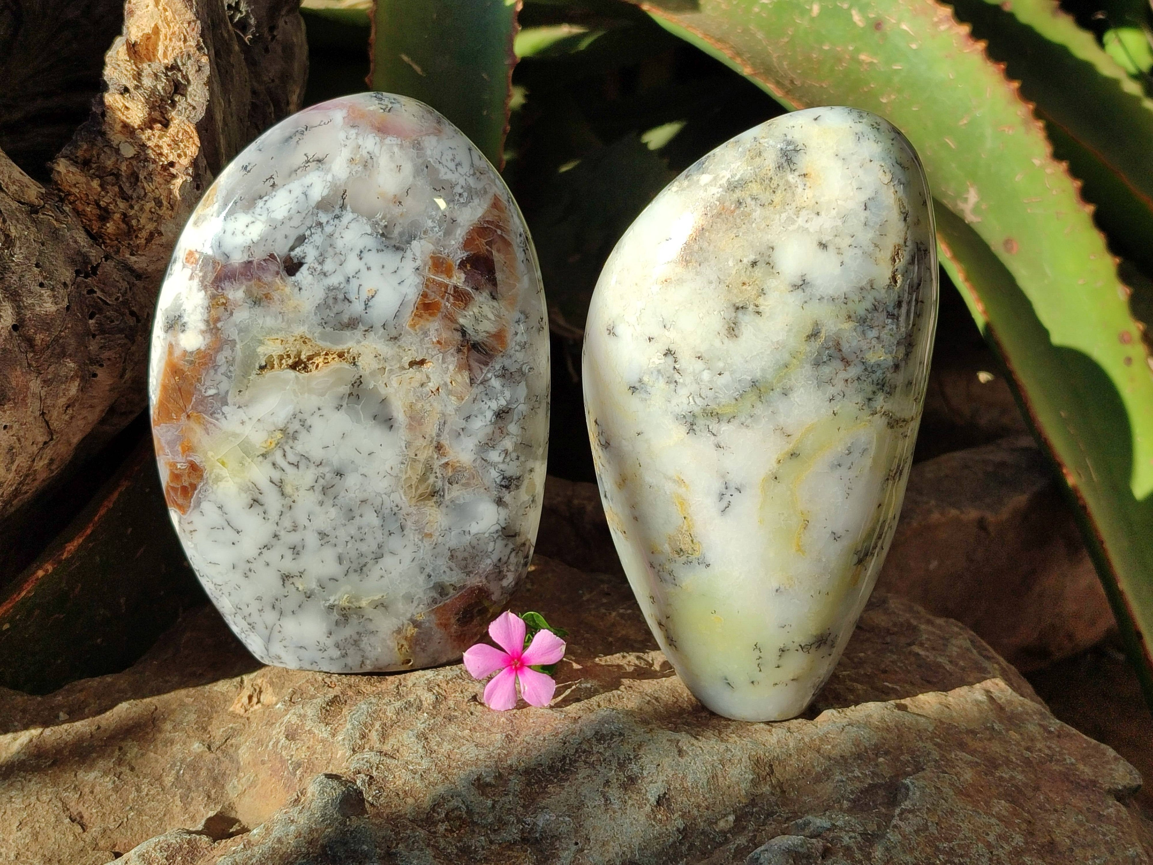 Polished Dendritic Opal Standing Free Forms x 2 From Madagascar - Toprock Gemstones and Minerals 