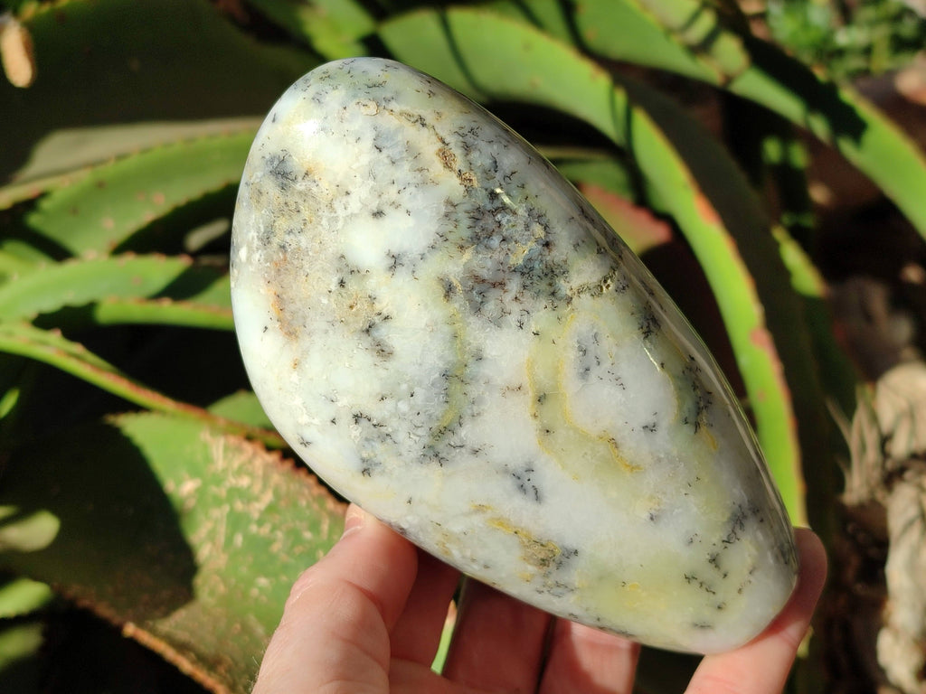 Polished Dendritic Opal Standing Free Forms x 2 From Madagascar - Toprock Gemstones and Minerals 