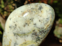 Polished Dendritic Opal Standing Free Forms x 2 From Madagascar