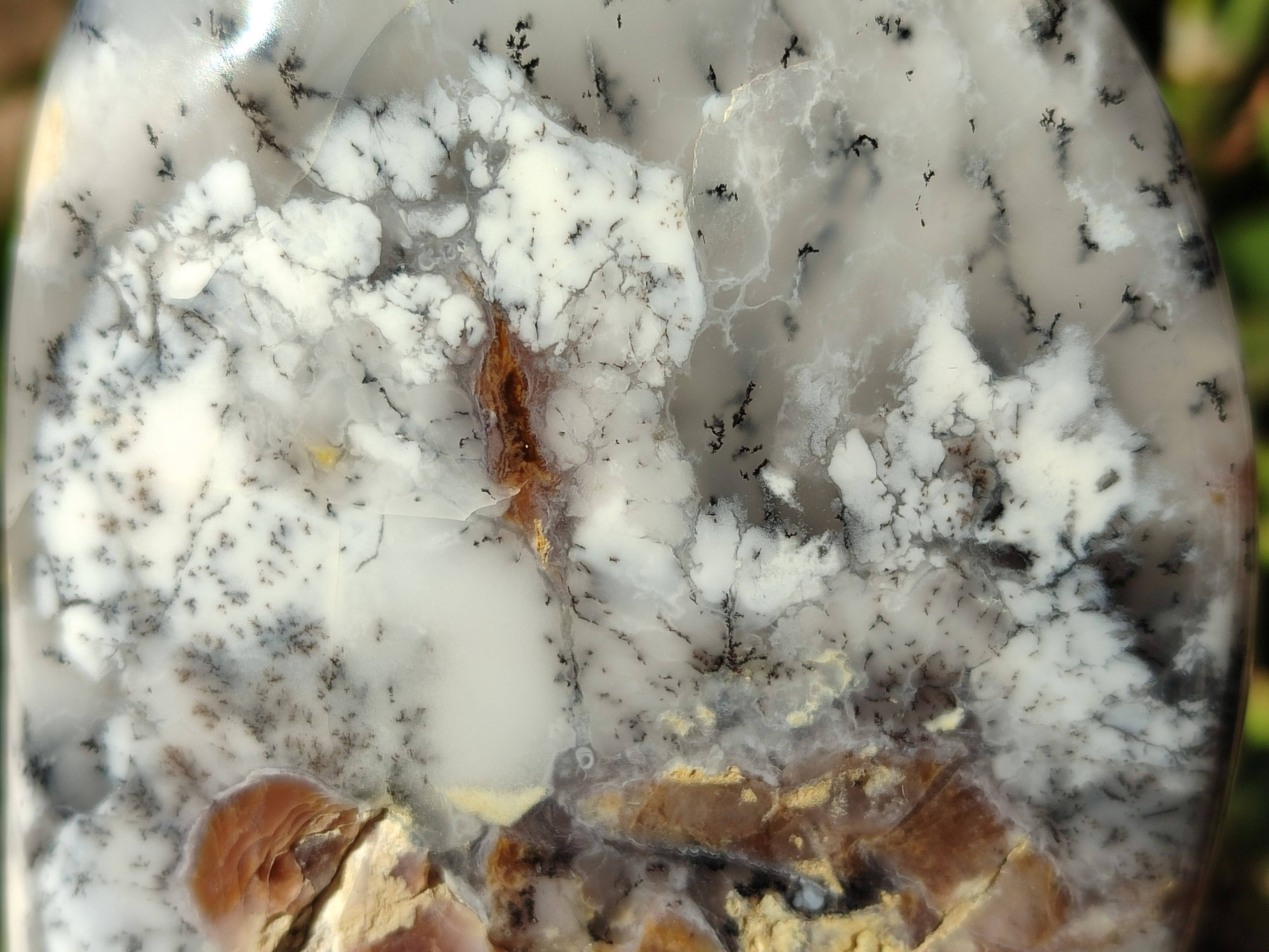 Polished Dendritic Opal Standing Free Forms x 2 From Madagascar - Toprock Gemstones and Minerals 