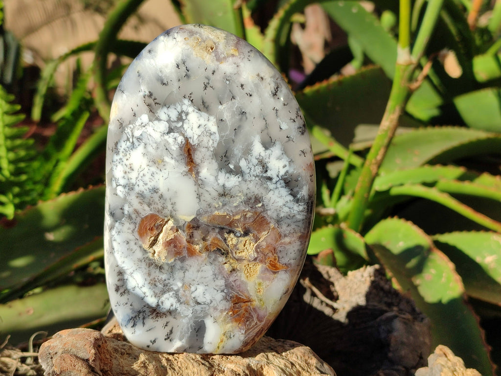 Polished Dendritic Opal Standing Free Forms x 2 From Madagascar - Toprock Gemstones and Minerals 