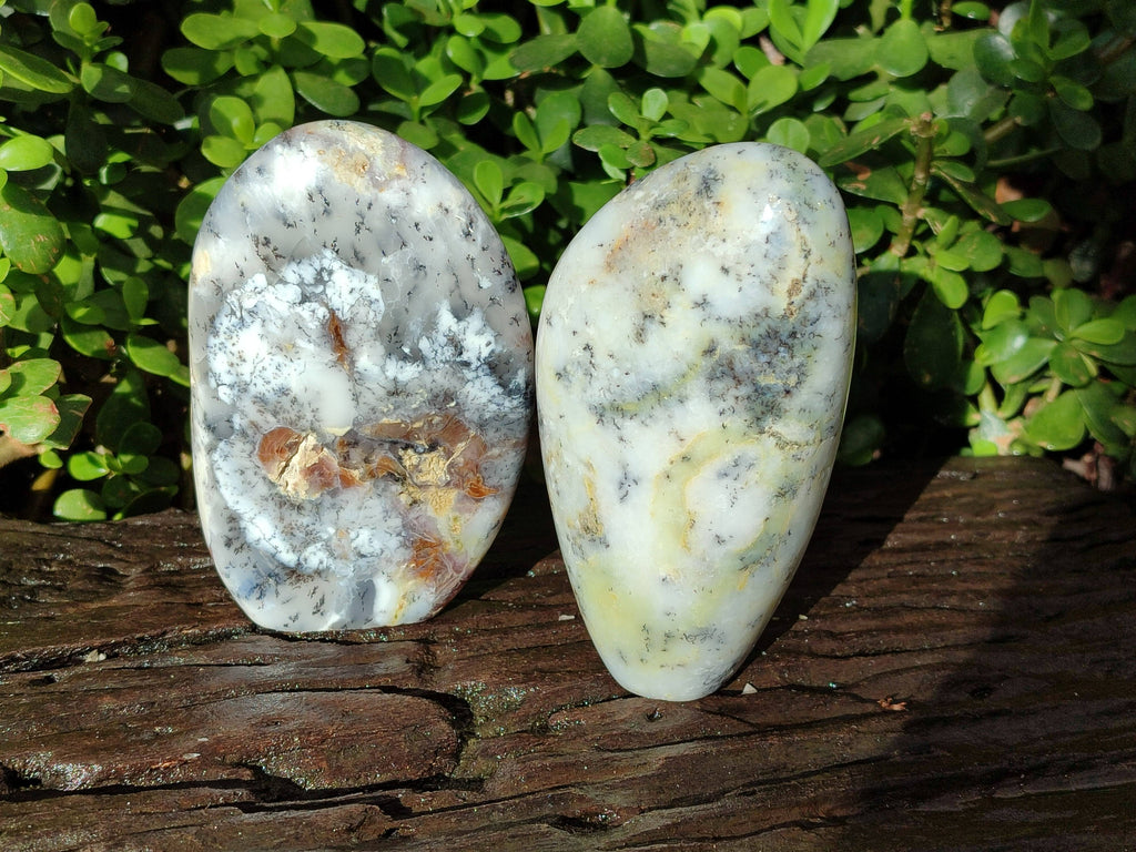 Polished Dendritic Opal Standing Free Forms x 2 From Madagascar - Toprock Gemstones and Minerals 