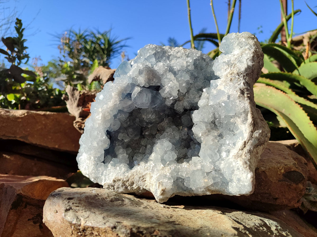 Natural Celestite Geode Specimen x 1 From Sakoany, Madagascar - Toprock Gemstones and Minerals 