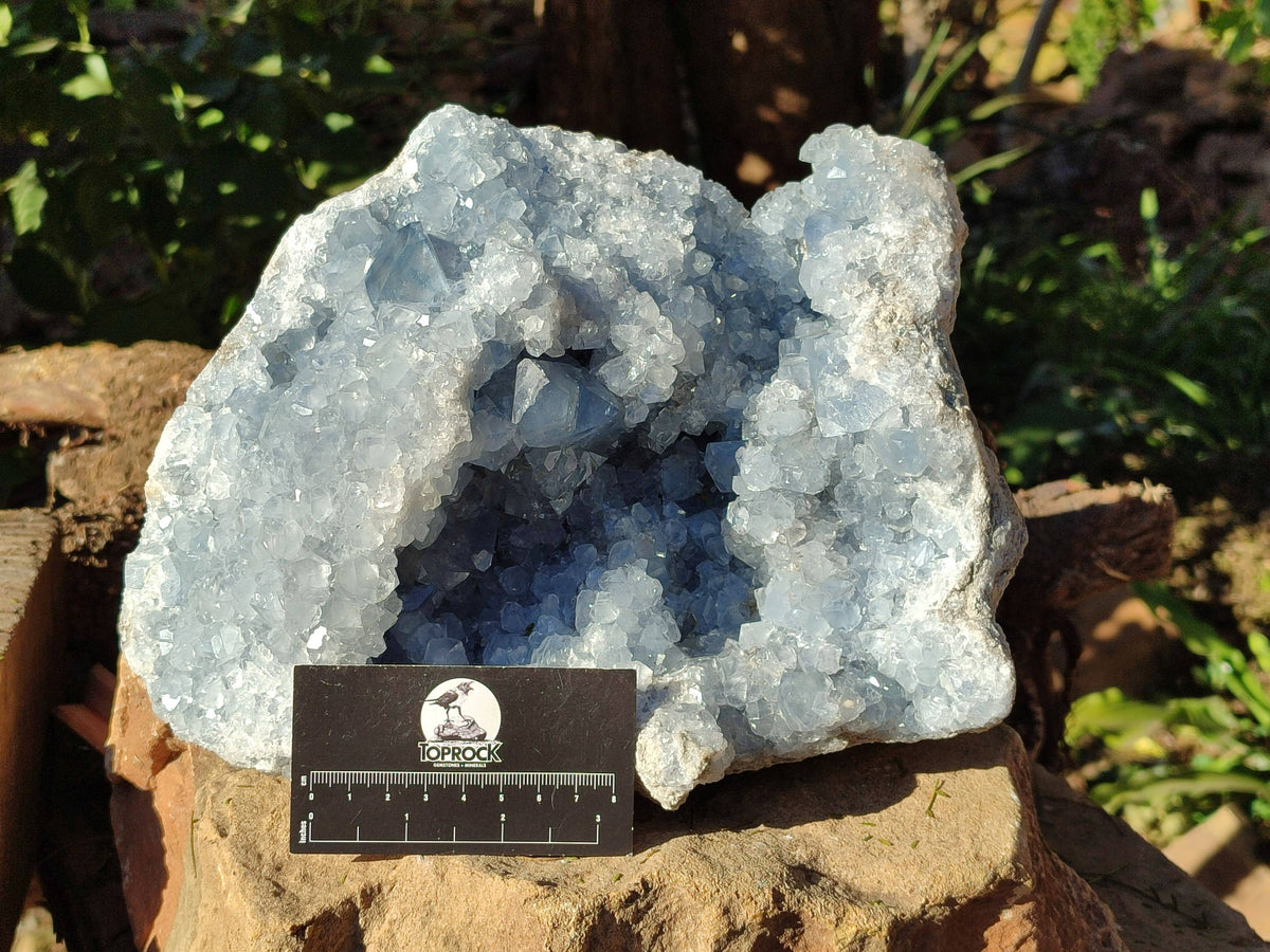 Natural Celestite Geode Specimen x 1 From Sakoany, Madagascar - Toprock Gemstones and Minerals 
