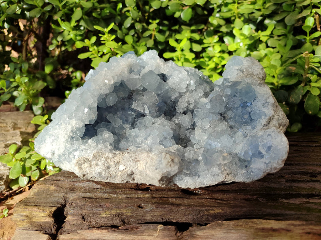 Natural Celestite Geode Specimen x 1 From Sakoany, Madagascar - Toprock Gemstones and Minerals 