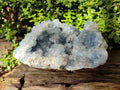 Natural Celestite Geode Specimen x 1 From Sakoany, Madagascar - Toprock Gemstones and Minerals 